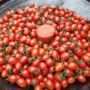 국희농장 이미지