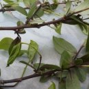 이성찬농장 이미지