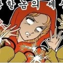 오늘 일기 | 오늘의 일기 - 아포스티유 후기, 세상이 날 억까해