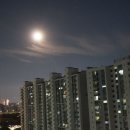 흑산촌놈 이미지