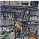 유쓰펜션 이미지