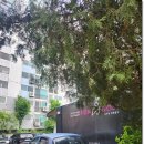 궁전 골프 연습장 이미지