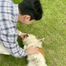 배나무실의 아침 이미지