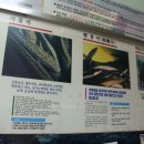 신토불이건강원 이미지