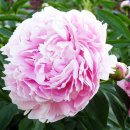 사상참경희한의원 이미지