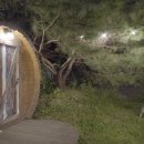 카페캐빈하우스 이미지