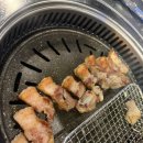 화고보리볏짚초벌구이신시가지 | 제주도 맛집 추천 리스트 여행 혼밥 예약 화고 흑돼지 신시가지점