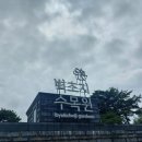 다향화원 | [파주] 벽초지수목원 꽃구경 후기(주차, 입장료, 수국 개화상태 등)