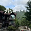 울산 국립신불산폭포자연휴양림 하단 미역취 숙박후기 가족펜션 여행