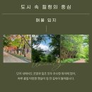의창구 중동 유니시티1단지(중동로 34) 102동 앞 | ⭕️⭕️창원 유니시티1단지 41평 전세, 남향 고층에서 누리는 여유로운 일상