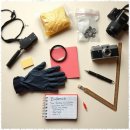 행정사 모든 이미지