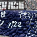 샛담민박 이미지