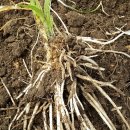 옥종농장 이미지