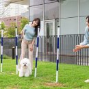 파크필드 이미지