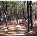 솔마루길 신선산 이미지