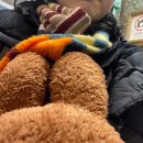 아라다움 | 마억두의 홍대 피어싱샵 아라다움에서 귓바퀴 뚫은 후기 (가격, 피어싱 고통지수)