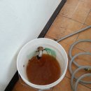 배관천왕