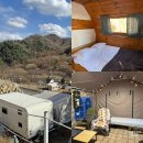 [가평] 글램365 내돈내산 신규글램핑숙소후기 새로오픈한 프라이빗신축 숲속 카라반