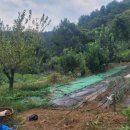 거리농장 이미지