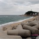 홍게#포차