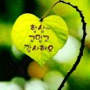 대가야센터-6 이미지