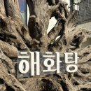 해화탕건물 | 제주도 이색 카페 바다뷰 애월 가볼만한곳 디저트 맛집 해화탕