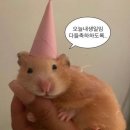 은정학원 | 🎂2026 어린이날 생일기록
