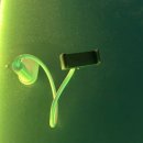 놀이터게임장 이미지