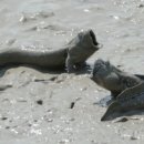 중원회관 이미지