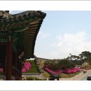 수원-0580 이미지