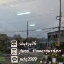 지우플라워가든