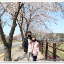 강당골캠핑파크 이미지