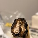 오베르망속초중앙시장직영점 | 속초 신흥 닭강정 맛집 예스닭강정 중앙시장직영점 내돈내산 후기