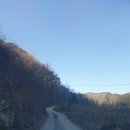 명호 주유소 | [봉화캠핑] 청량산나무네숲 캠핑 5박6일 장점과 단점 정리 낙엽송 T사이트