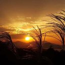 라온글램핑 이미지