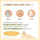 괜찮아동물병원 이미지