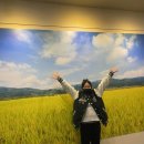 쌀문화관 이미지