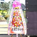 당포초등학교 | 당포초등학교 개교 70주년기념 제31차 한마음화합잔치