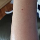 방배로27길 69 이미지