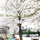 토리숲 주차장 이미지