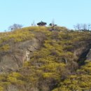 개화산역 2번출구 부근 이미지