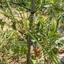 씨앗등펜션 이미지