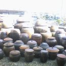 연세대학교박물관 이미지