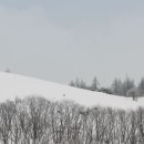 상진 목장 Daum카페