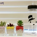 차수학