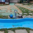 더 펫샵 이미지