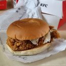 8800켄터키치킨 | [햄버거] KFC 클래식징거통다리박스 감자튀김 핫크리스피 통다리