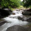 캠핑어클락 이미지