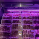 개화산맛집 | 개화산고기집 민들레정육식당 개화산점!! 찐 맛집 후기