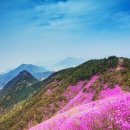 진희로-1 이미지